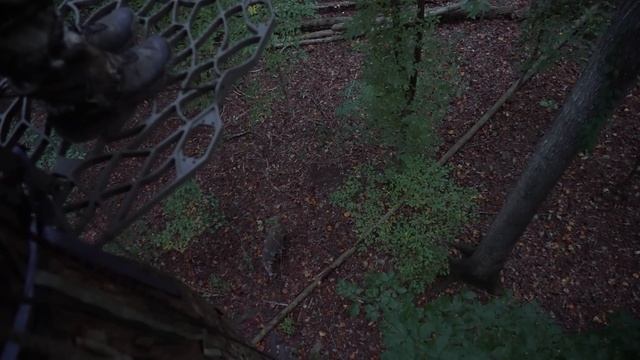 HUGE Framed 170" URBAN Atlanta Buck (FIRST HUNT!!) смотреть онлайн