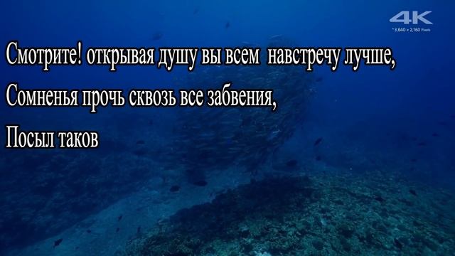 СТИХИ СОБСТВЕННОГО СОЧИНЕНИЯ 36(ТО ЧТО ДВИЖЕТ) смотреть онлайн