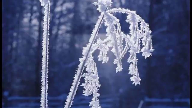 Антонио Вивальди - Времена года. Зима. Часть 1: Аллегро нон мольто смотреть онлайн