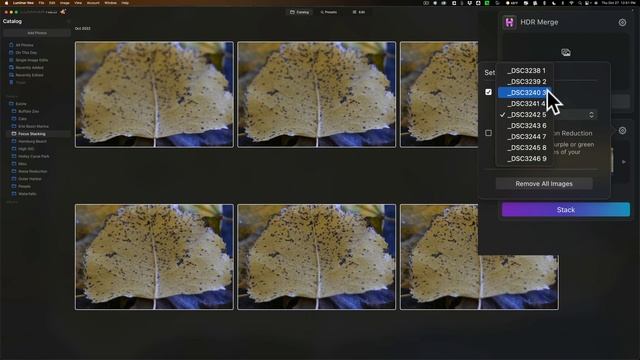 FOCUS STACKING in LUMINAR NEO! смотреть онлайн