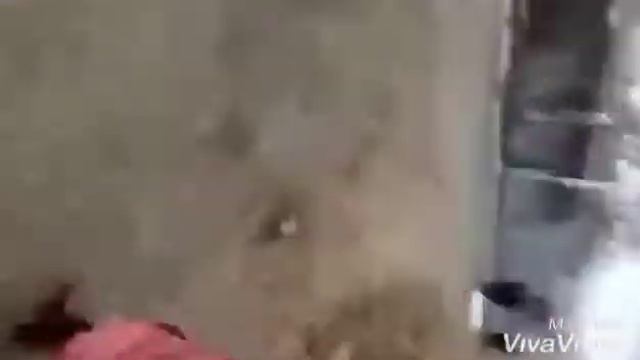 Влог с друзьями "2 часть" смотреть онлайн