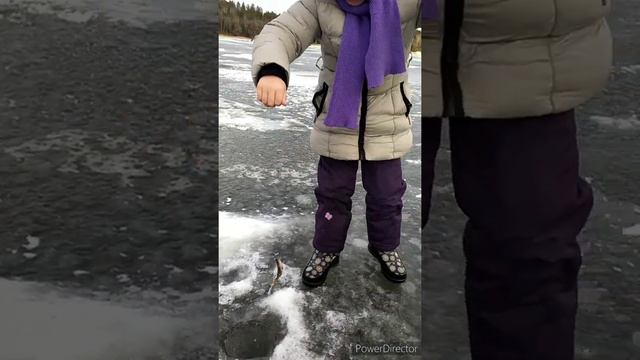 Зимняя рыбалка на Вяче... смотреть онлайн