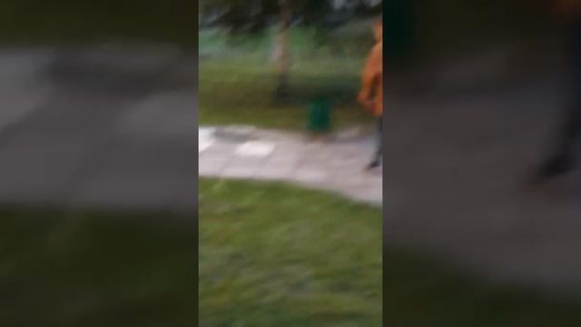 Как замаскироваться под куст смотреть онлайн