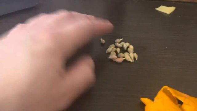 Сколько косточек в мандарине?? смотреть онлайн