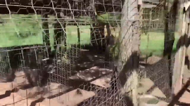 140521 Строительство дома в Канаде Вид со второго этажа и Веселая Ферма Франка смотреть онлайн