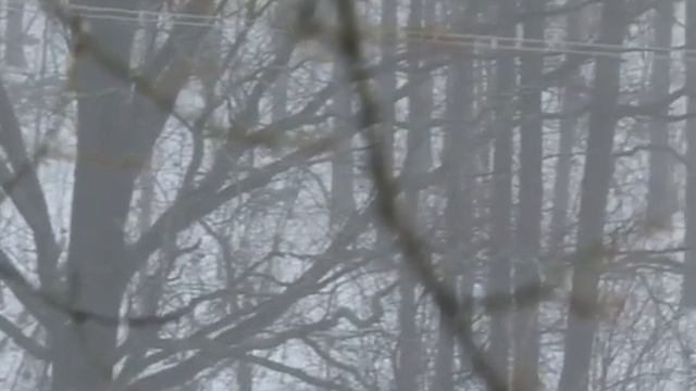 "Охотничьи просторы" часть 1 смотреть онлайн