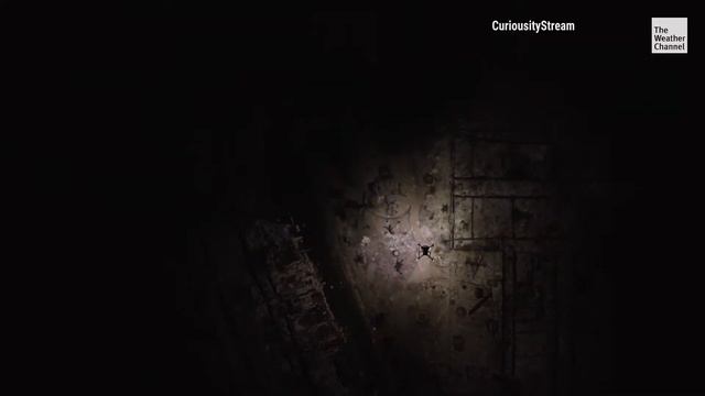 Infrared drone animal rescue Douglas Thron koalas, cats, dogs, pets, wildlife Weather Channel story смотреть онлайн
