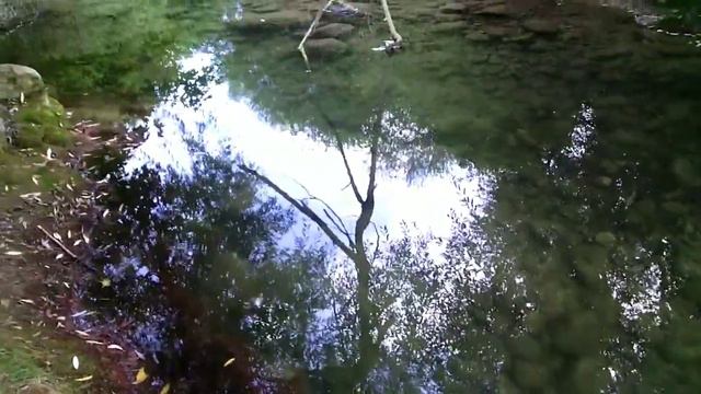 Крым Соколиное река Коккозка смотреть онлайн