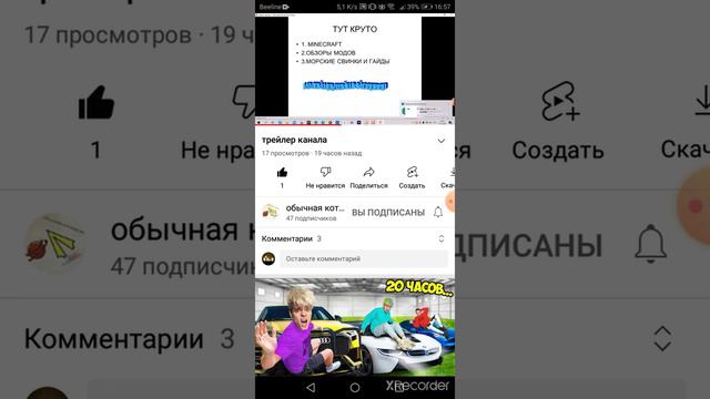 Пиар обычная котовасия #пиар #пиарканалов смотреть онлайн