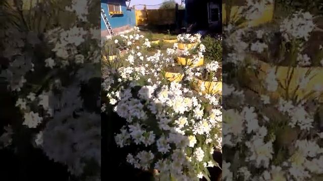 Астрономия и Космос