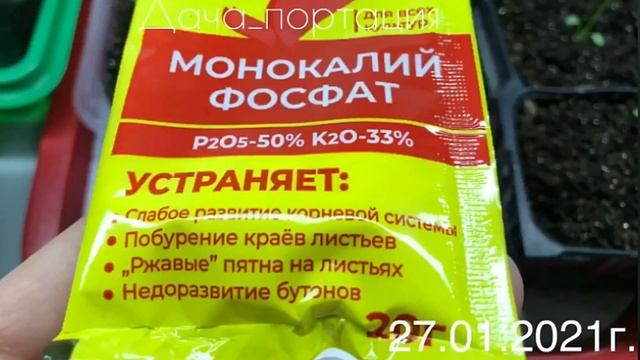 ЭУСТОМА ОТ ПОСЕВА ДО ЦВЕТЕНИЯ(все этапы развития ЭУСТОМЫ)? смотреть онлайн