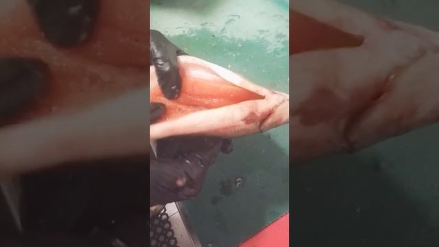 Разделываем пелядь, добываем красную икру острым ножом... смотреть онлайн