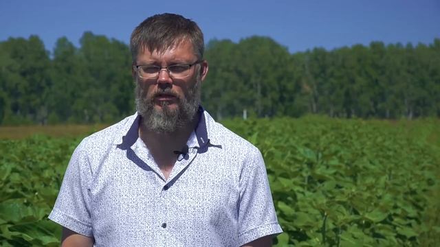 ФЮЗИЛАД® ФОРТЕ на подсолнечнике, Барнаул смотреть онлайн