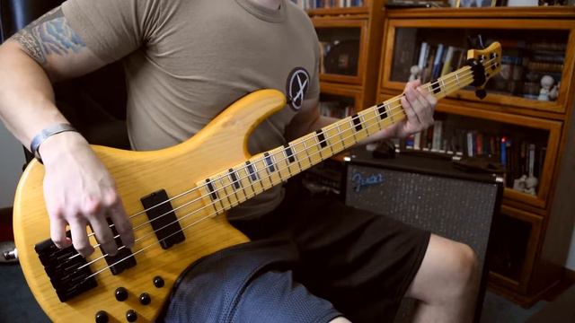 Starlight - Muse [Bass Cover] смотреть онлайн