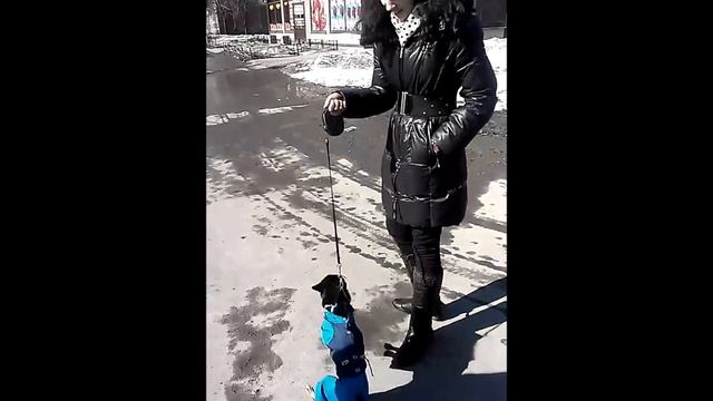Космо-собака Бузи смотреть онлайн