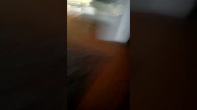 Алёна писиет смотреть онлайн