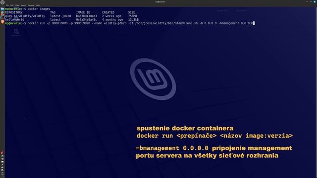 Jakarta EE 10 - spustenie WildFly servera ako docker containera смотреть онлайн