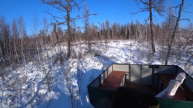 Жизнь в деревне . КОГДА ХОЧЕТСЯ В ЛЕС И МАРОЗ НЕ ПОМЕХА, смотреть онлайн
