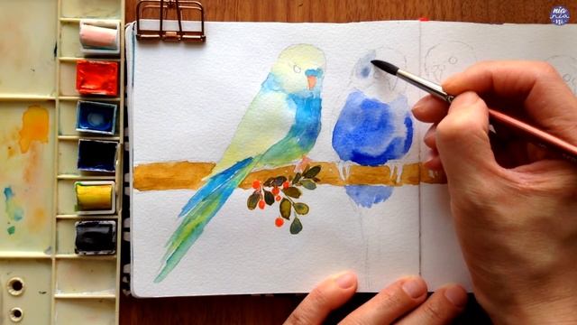 Colourful Budgies: Watercolor Tutorial смотреть онлайн