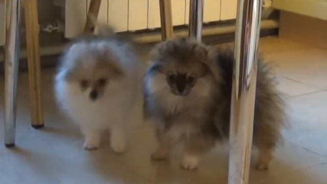 Парад Планет смотреть онлайн