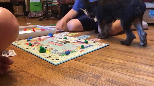 Monopoly junior with mom смотреть онлайн