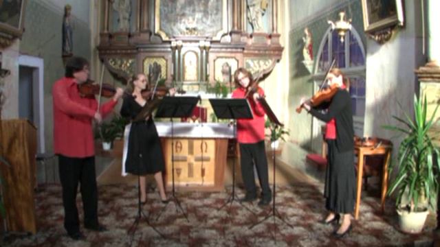 Telemann - Concerto à 4 Violini in D Major TWV 40:202 - Verner Collegium смотреть онлайн