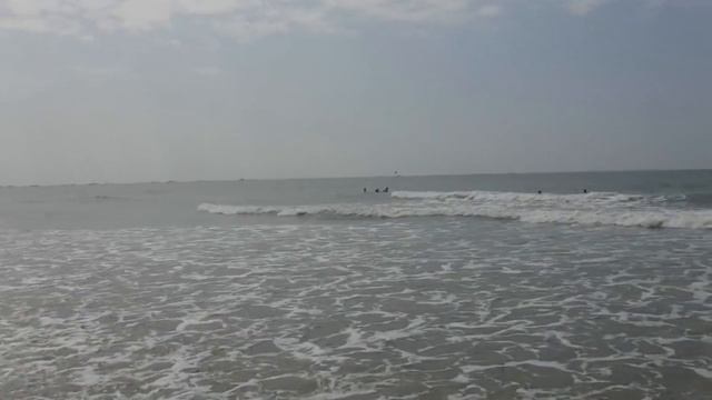 20.12.17. Индия. Гоа..Скат приплыл. Арест на пляже. Желания сбываются! Загадывайте смотреть онлайн