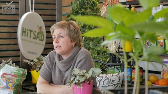 Мавританский газон ✅ Цветочный газон ? Видеообзор смотреть онлайн