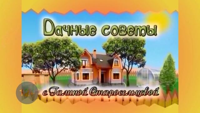 Дачные советы Галины Старосельцевой Сентябрь 30-2021 смотреть онлайн