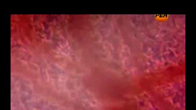 Генетика уничтожает ДНК - а это код Творца! смотреть онлайн