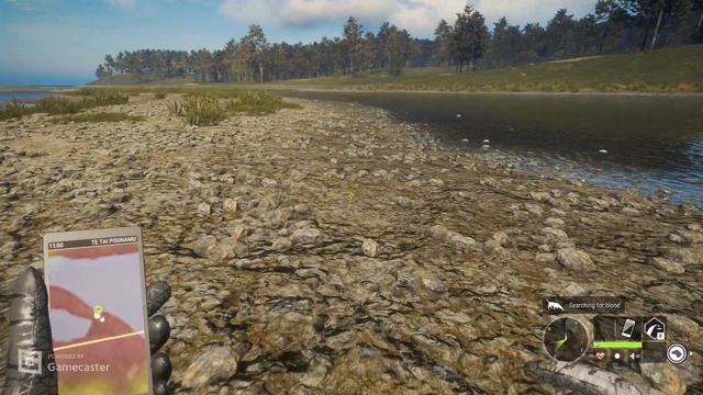theHunter: Call of the Wild: Te Awaroa National Park Hunting Deer смотреть онлайн