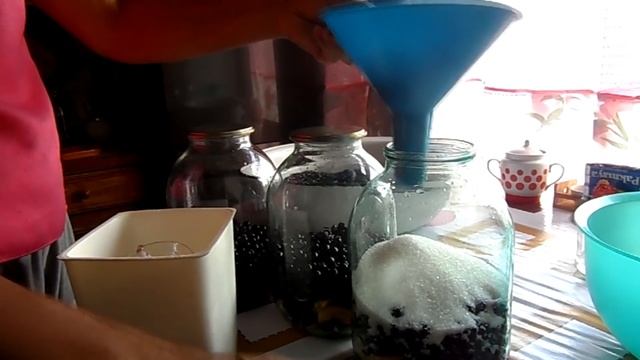 Компот из черноплодной рябины и яблок на зиму. смотреть онлайн