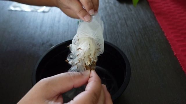 Hoya Wayetii (seeds) смотреть онлайн