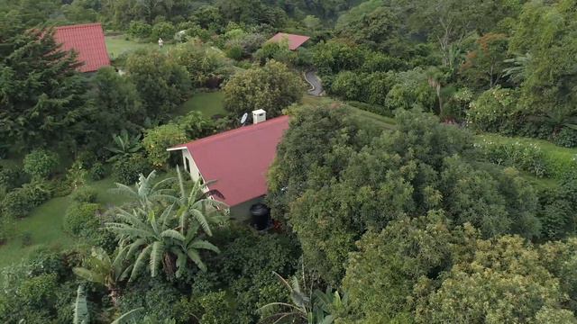 Aerial view, Alba Verde Guest House, Artist Retreat & Birders Paradise! UHD смотреть онлайн
