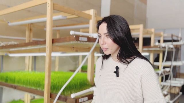 S-parfum: СИЛА В ТРАВЕ!!!vitgrass смотреть онлайн