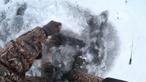 Ловля СУДАКА в Марте | МОРГАЛКА с Тюлькой