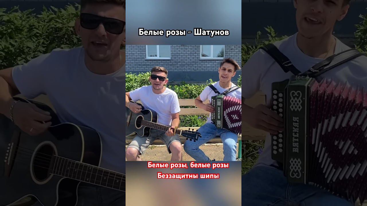 Песня Шатунова под гармонь и гитару БЕЛЫЕ РОЗЫ #2024 #лайк смотреть онлайн