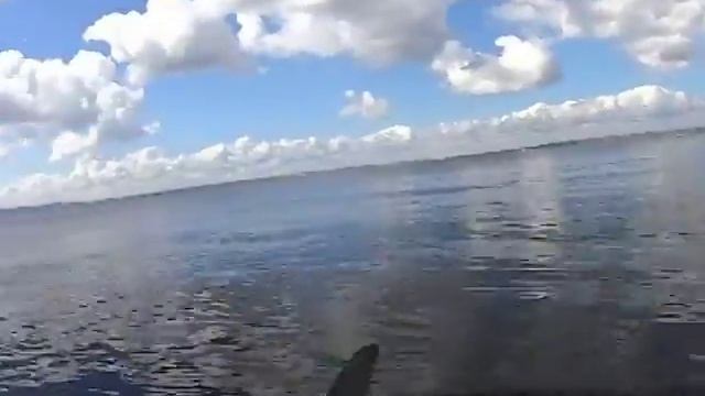 На байдарке "Таймень-2" по Волге, 10.08.2017 смотреть онлайн