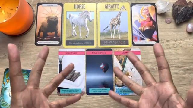 ? How people REACT to you and your FUTURE SPOUSE | ? Pick a Card timeless смотреть онлайн