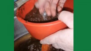 Как и зачем я промываю кокосовый субстрат