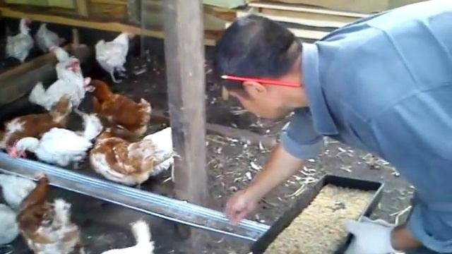 разведение опарыша в теплое время года на улице часть 3 смотреть онлайн