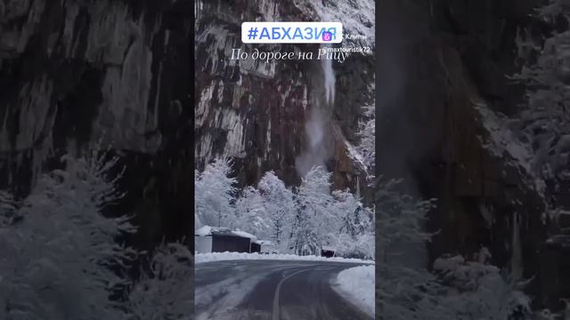 По дороге на Рицу такая красота 😍 куда без сопровождающих взглядов коров 🐮 #рица #абхазия #travel смотреть онлайн
