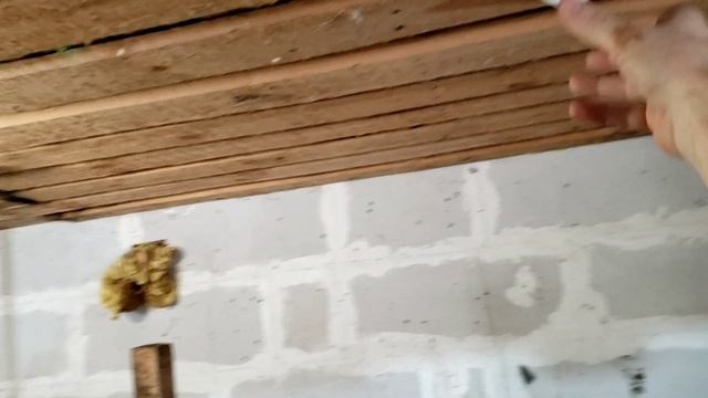 Разведение червей для рыбалки как дополнительный заработок смотреть онлайн