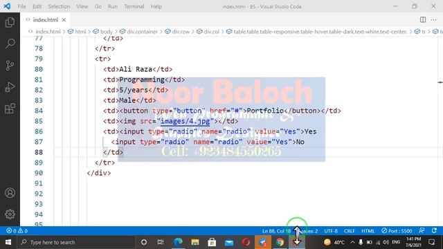 How to use table in Bootstrap in Urdu by Noor Baloch смотреть онлайн