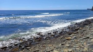 Тихий океан. Владивосток. Остров Русский.