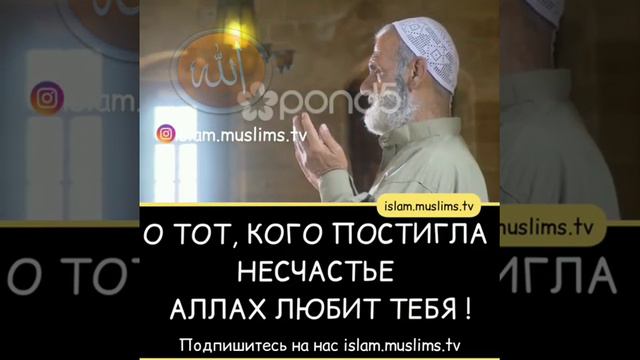 Аллах любить тебя 😗😗😗😗 смотреть онлайн