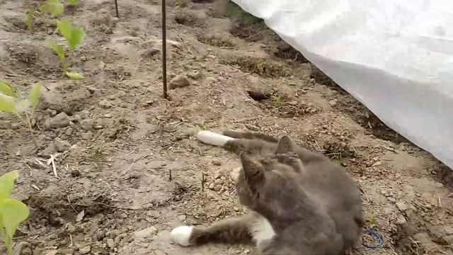 10 минут на даче в Мае 2023 смотреть онлайн