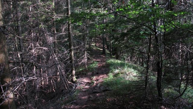 OÖ: Zederbauerspitz ( Canon SX130 IS ) смотреть онлайн