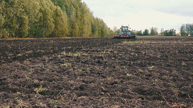 4й день дискования (короткий ролик) смотреть онлайн